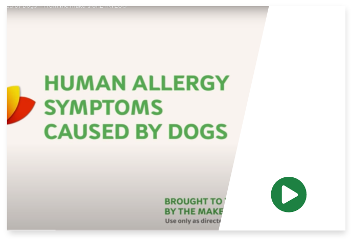 Could you be allergic to dogs?
